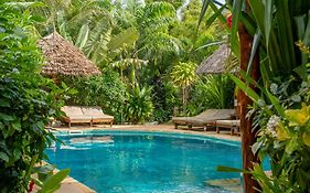 Maisha Nungwi - Boutique Hotel
